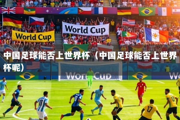 中国足球能否上世界杯（中国足球能否上世界杯呢）