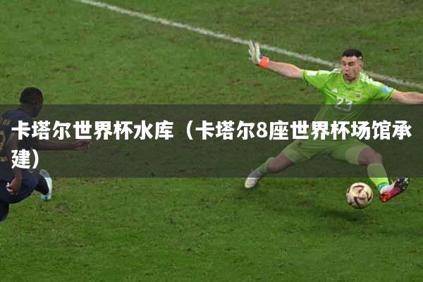 卡塔尔世界杯水库（卡塔尔8座世界杯场馆承建）